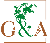 Gaucher & Associates, Inc.